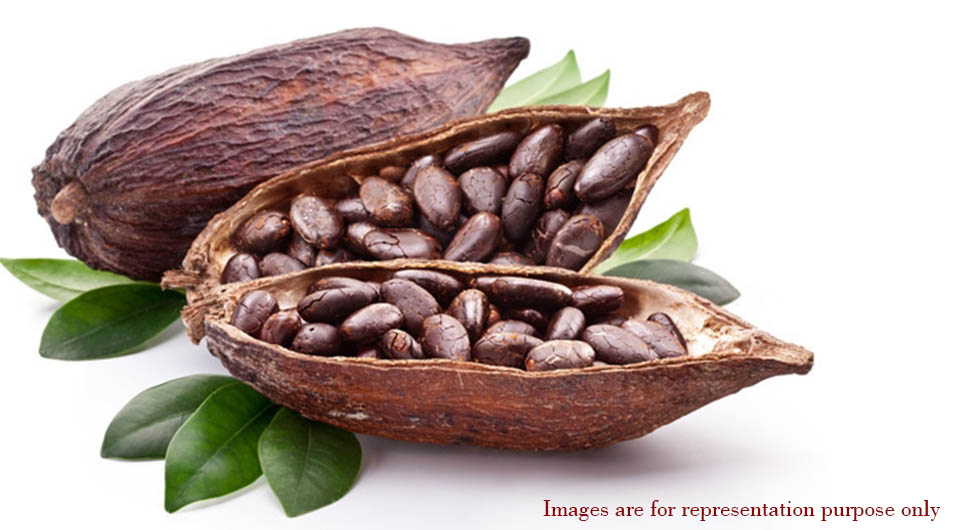 The Chocolate Factory